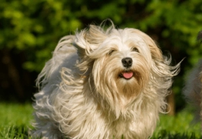 Progetto senza titolo (54)