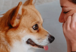 Detersione orecchie (1)