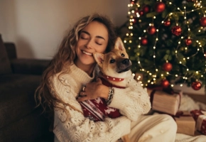 ChristmasDog