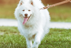 eaa75408978434be9686c6b9898efdaa04cf7ed9999999999999999999999999999999999999