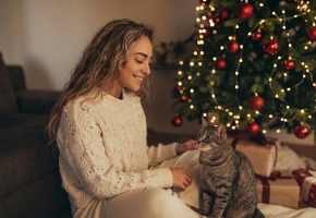 christmascat2