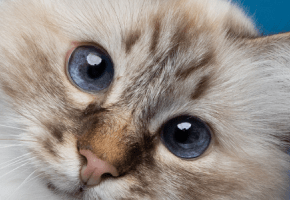 header sito (2)