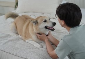 Dog smiling with Petowner