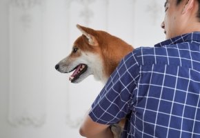 Happy dog with petowner