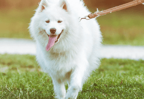 eaa75408978434be9686c6b9898efdaa04cf7ed9999999999999999999999999999999999999