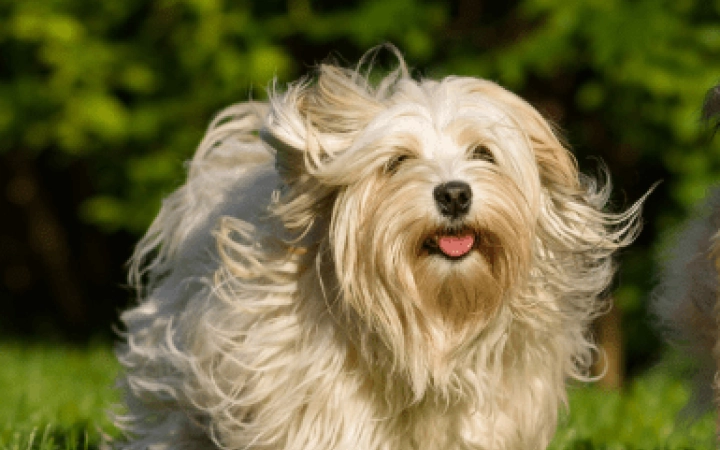 Progetto senza titolo (54)