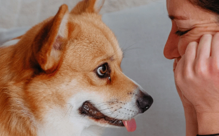 Detersione orecchie (1)