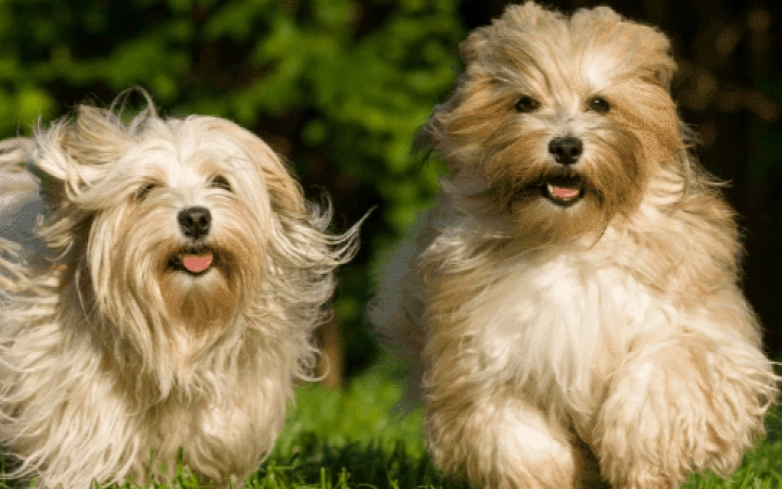 Progetto senza titolo (54).png