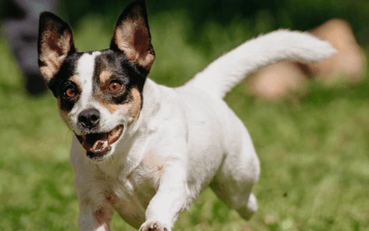 Progetto senza titolo (2) (1)