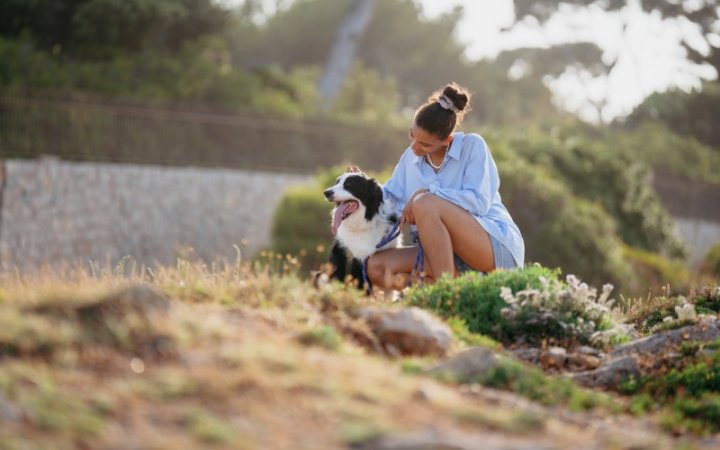 Dog outside with pet owner