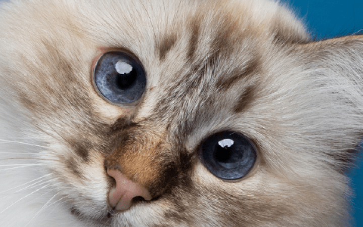 header sito (2)