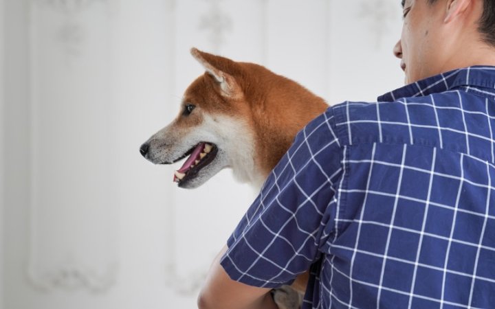 Happy dog with petowner