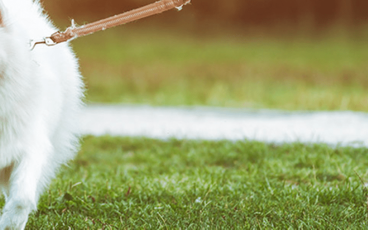 eaa75408978434be9686c6b9898efdaa04cf7ed9999999999999999999999999999999999999