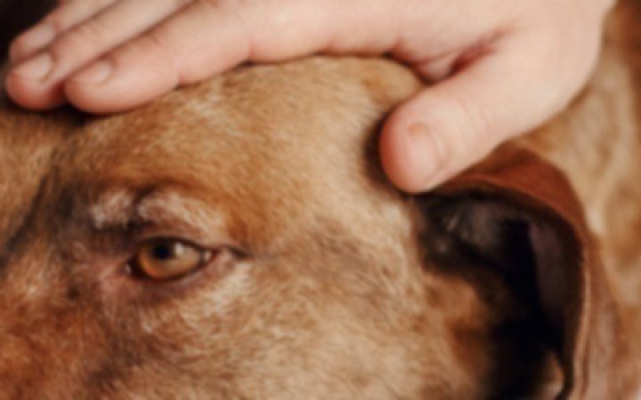 articolo artrite 2 banner