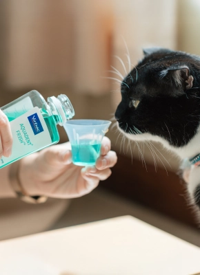 Vet Aquadent