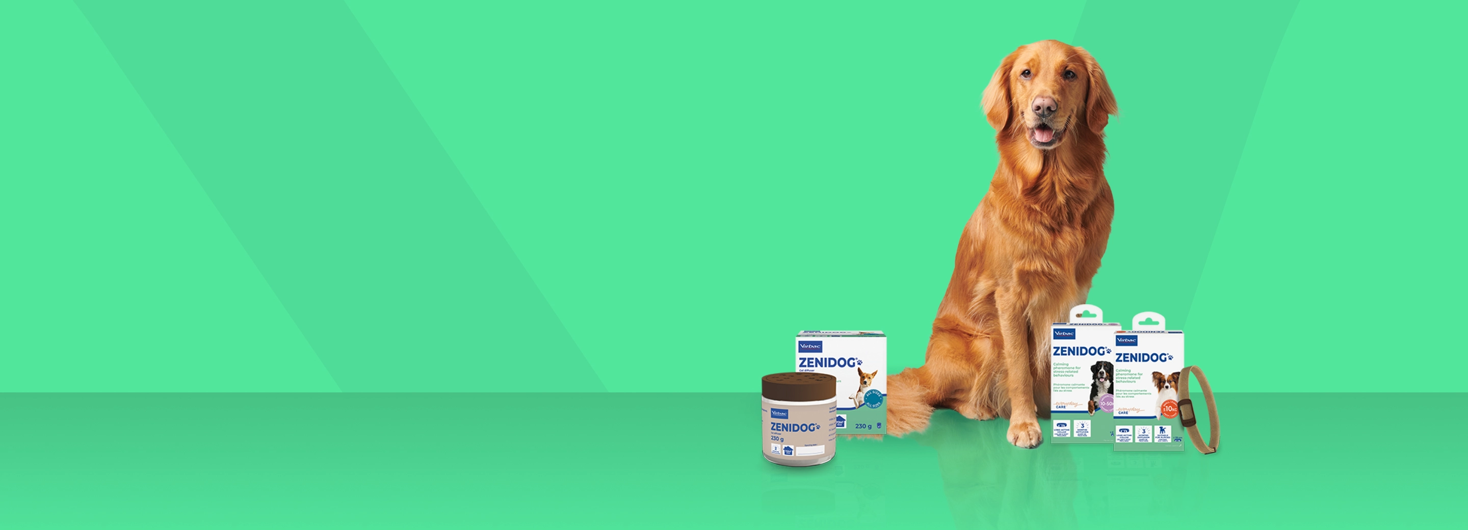 Golden retriever sitting beside Virbac Zenidog pet care products on a green background.