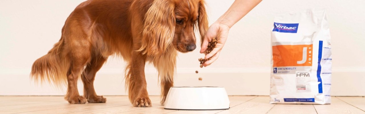 Homepage highlight 2 background