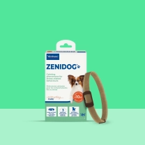 IT_Zenidog-Collar_Unity-visual_1_2026.jpg