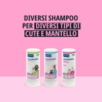 IT_Allerderm-Shampoo-For-Dogs--Cats---Normal-Skin_Unity-visual_2_2026.jpg