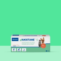 IT_Anxitane_Unity-visual_1_2026.jpg