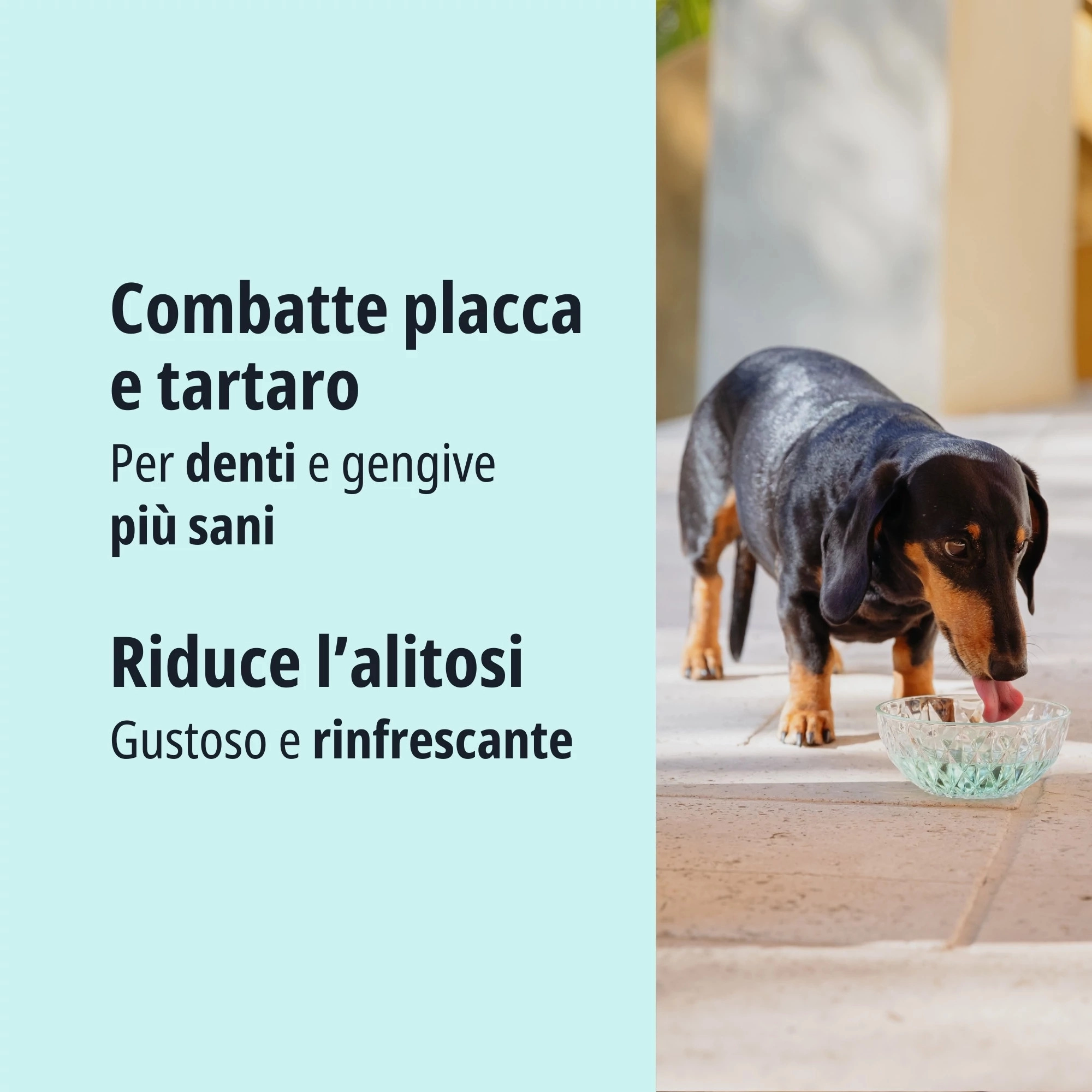 Gocce Purificatrici Acqua Veterinary Grade – Per Animali E Umani – 2 Bottiglie Da 4 Oz