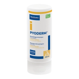 Pyoderm