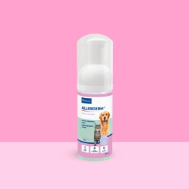 Allerderm foam