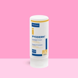 Pyoderm