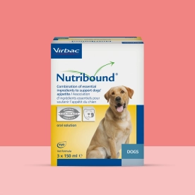 Nutribound / Rebound Recuperation