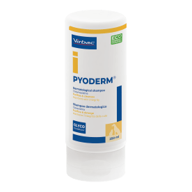 Pyoderm