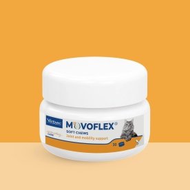 Movoflex Cat