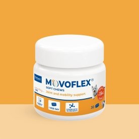 Movoflex Dog