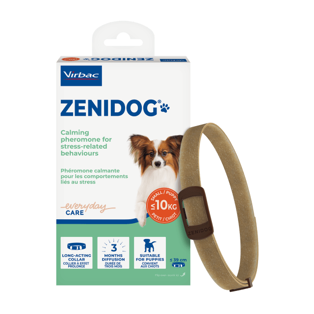 Zenidog collar