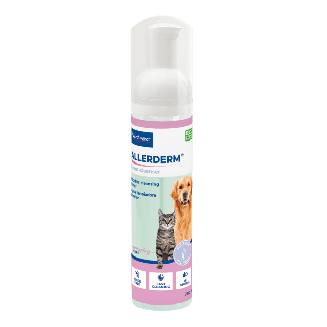 Allerderm foam