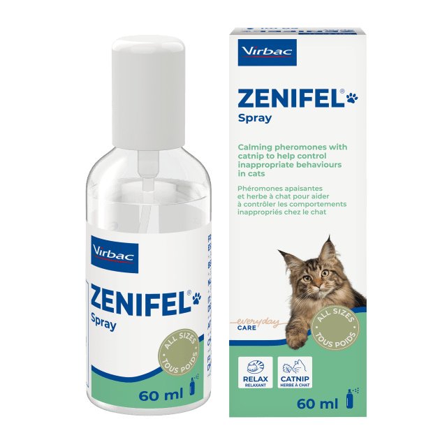 Zenifel