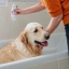 IT_Allerderm-Shampoo-For-Dogs--Cats---Sensitive-Skin_Unity-visual_5_2026.jpg