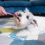IT_Oral-Hygiene-Kit_Unity-visual_4_2026.jpg