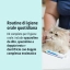 IT_Oral-Hygiene-Kit_Unity-visual_2_2026.jpg