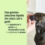 IT_Pronefra-Oral-Suspension_Unity-visual_3_2026.jpg