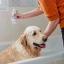 IT_Allerderm-Shampoo-For-Dogs--Cats---Dry--Scaly-Skin_Unity-visual_5_2026.jpg