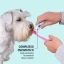 IT_Oral-Hygiene-Kit_Unity-visual_3_2026.jpg