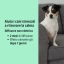 ITA_Zenidog-Gel-Diffuser_Unity-visual_3_2026.jpg