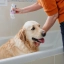 IT_Allerderm-Shampoo-For-Dogs--Cats---Sensitive-Skin_Unity-visual_5_2026.jpg