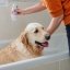 IT_Allerderm-Shampoo-For-Dogs--Cats---Sensitive-Skin_Unity-visual_5_2026.jpg
