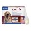 306748_Packshot-Spot-On_Effitix_Dog-L-x4pip_face.png
