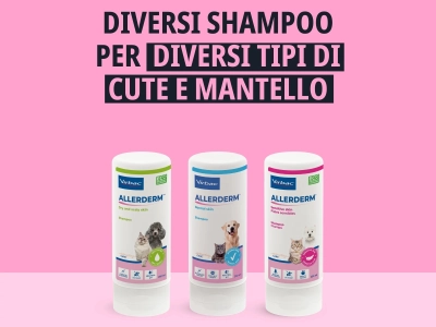IT_Allerderm-Shampoo-For-Dogs--Cats---Dry--Scaly-Skin_Unity-visual_2_2026.jpg