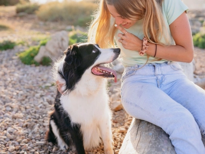 Antiparassitario per cani-1