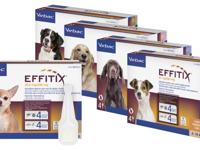 Antiparassitario per cani-4