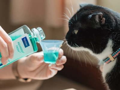 solucion-agua-bebida-mascotas