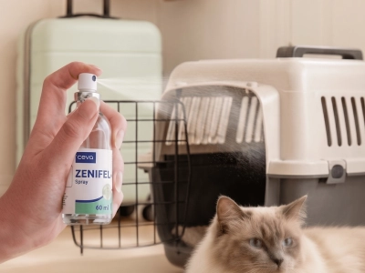Zenifelspray con trasportino